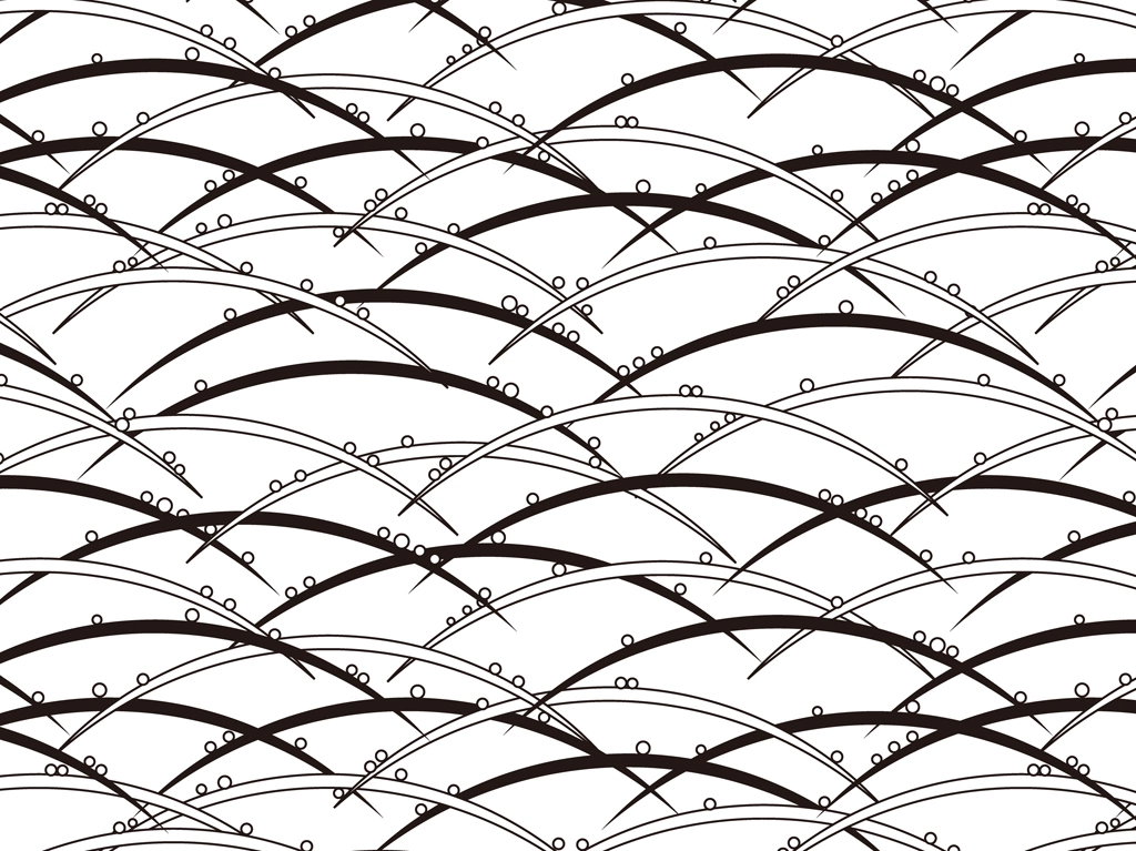 White and Black Silver Grass Pattern with White Background