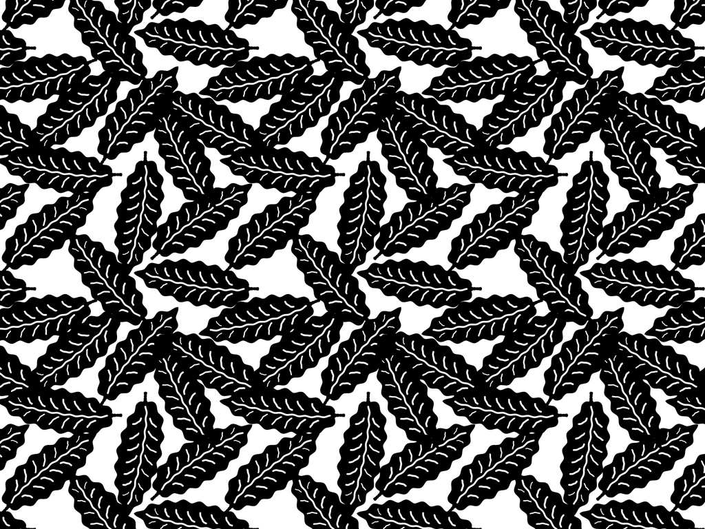 Black Leaf Pattern with White Background