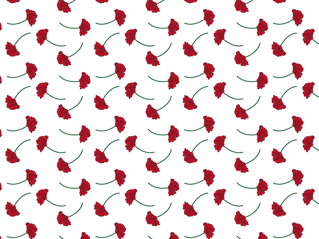 Red Roses with White Background