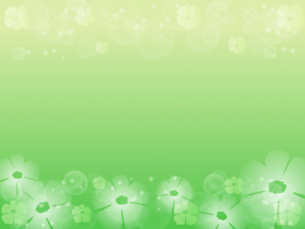 White Flower and Light Bokeh with Green Background Illustration