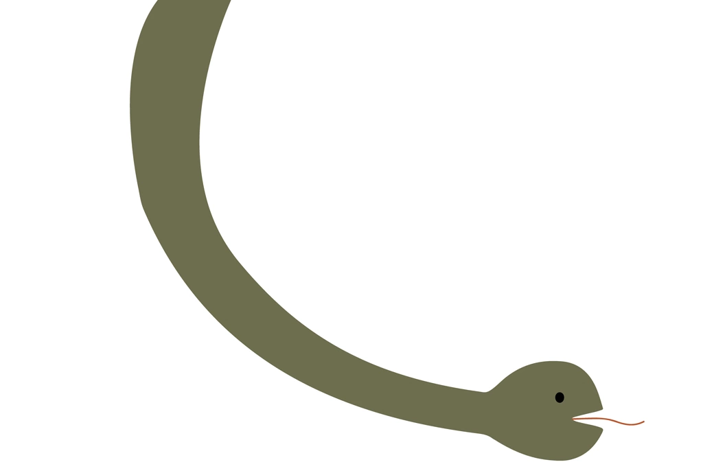 Snake with White Background Illustration