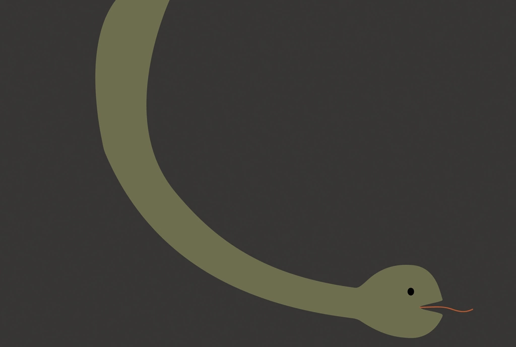 Snake with Black Background Illustration