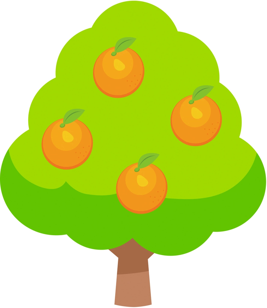 Orange Tree, Illustration