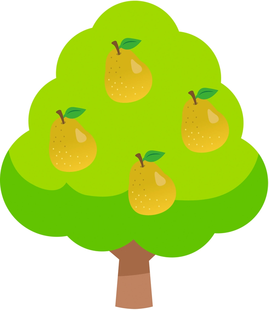 Pear Tree, Illustration