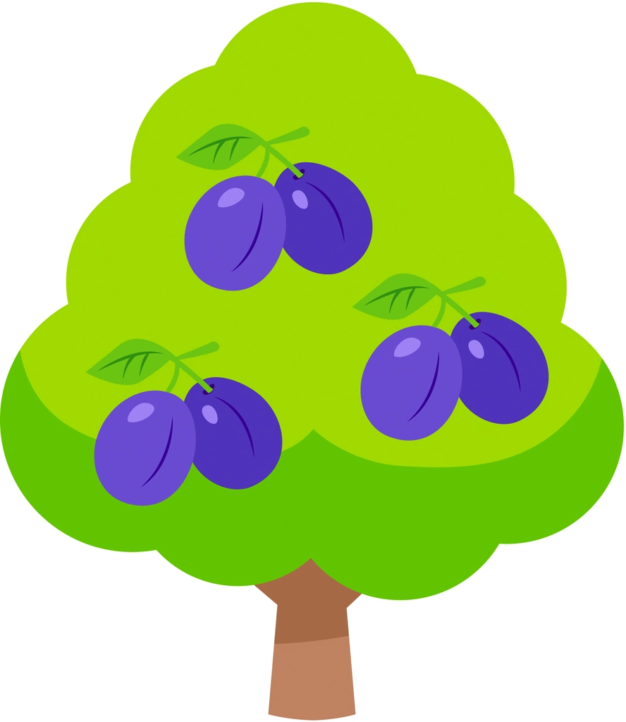 Prune Tree, Illustration