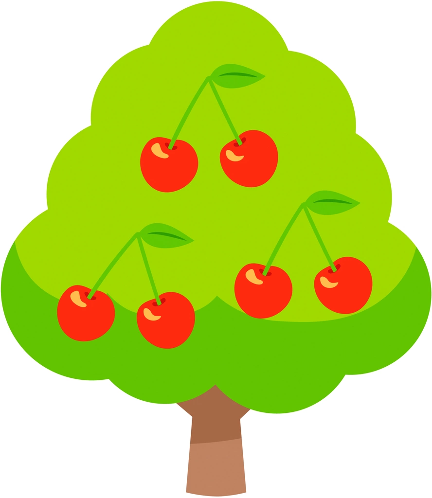 Cherry Tree, Illustration