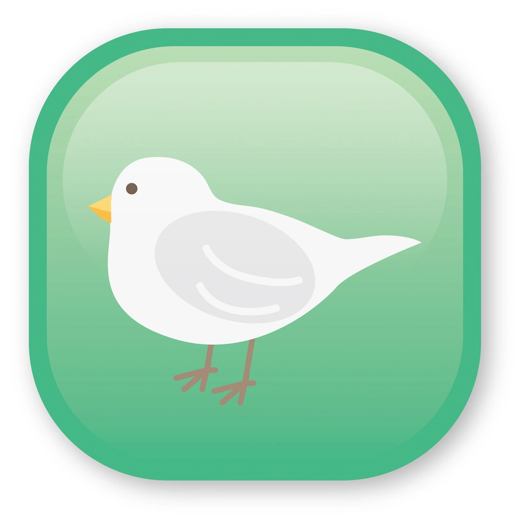 White Bird and Green Square Icon Illustration