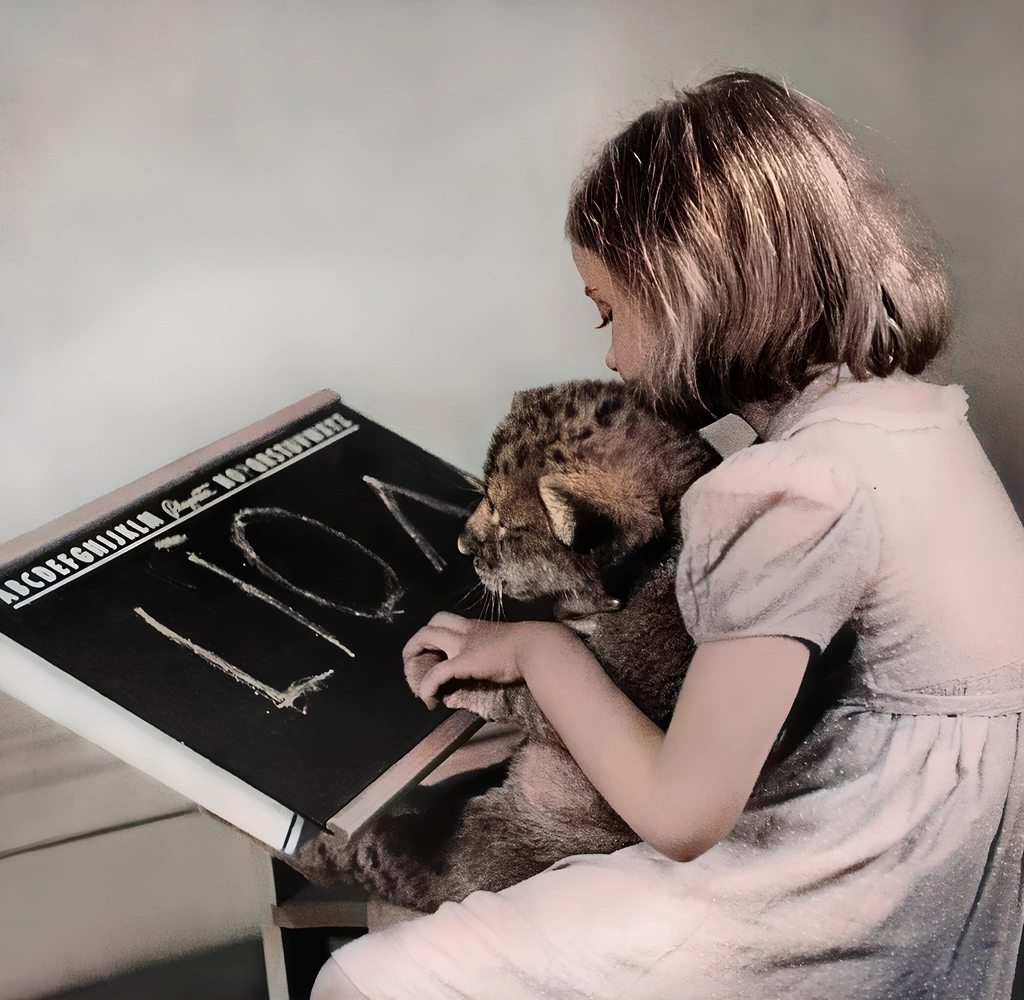 Untitled (Photos of a Girl Teaching a Lion Cub to Read) by Ylla, AI Colorization