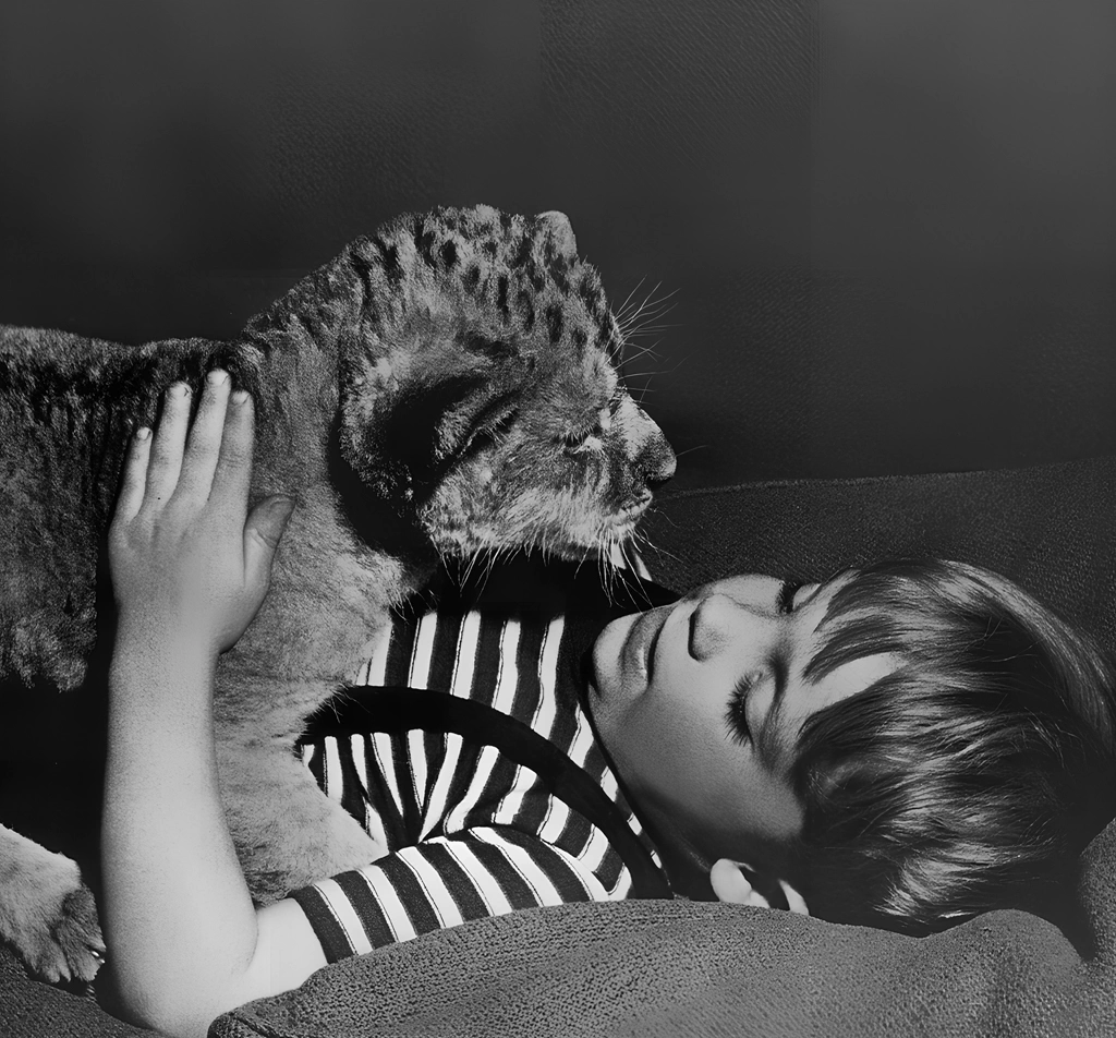 Untitled (Photos of a Lion Cubs and a Boy) by Ylla, from The Sleepy Little Lion