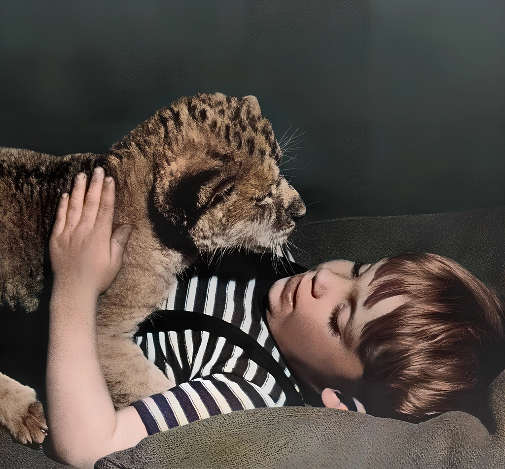 Untitled (Photos of a Lion Cubs and a Boy) by Ylla, AI Colorization