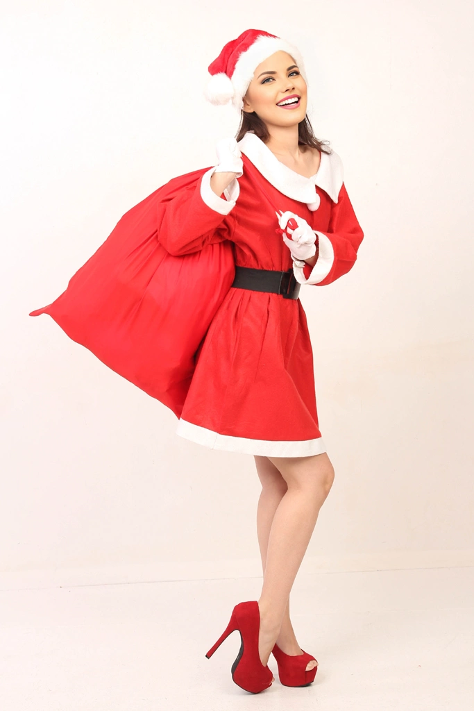 Portrait of a Woman in a Santa Claus Costume Carrying Gift Bag #1, Photo