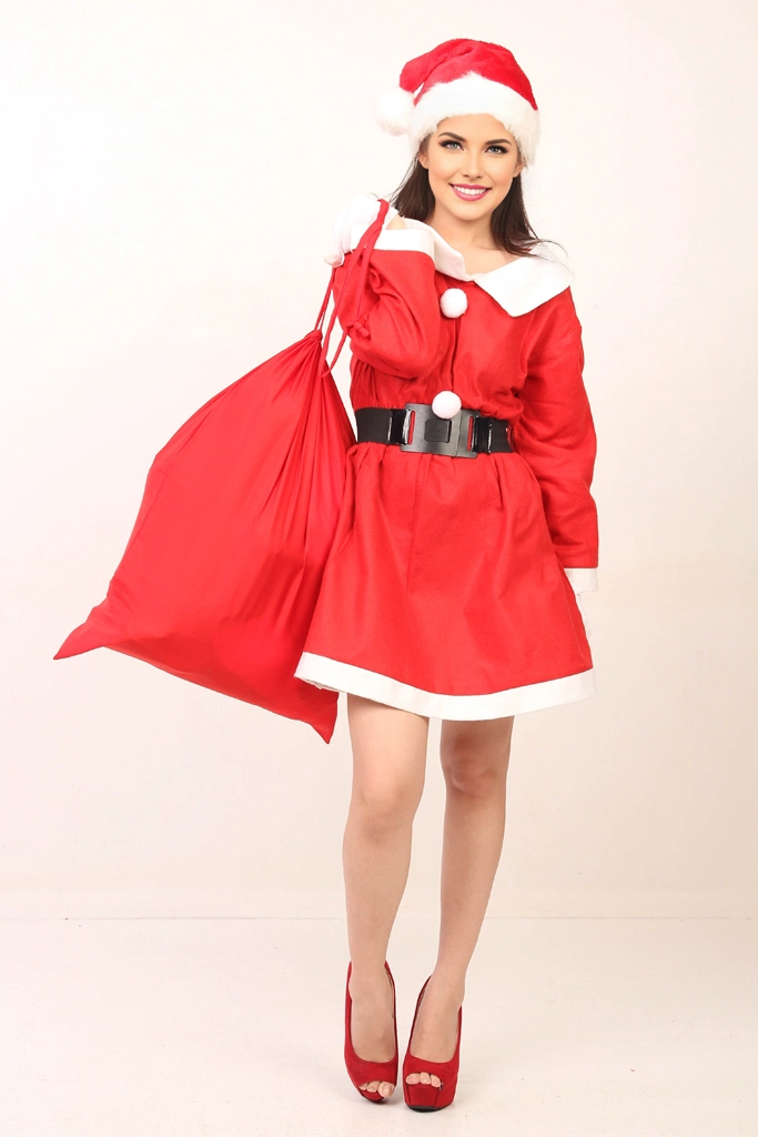 Portrait of a Woman in a Santa Claus Costume Standing with Gift Bag #1, Photo