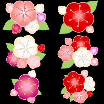 Set of 6 Japanese Apricot Blossom and Bud Illustrations and Vectors