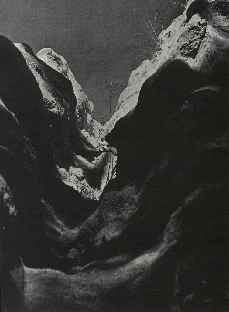 「風景」 棚橋紫水 | アルス写真年鑑 1950より
