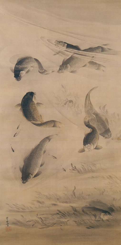 「鯉魚遊泳図」 河鍋暁斎 （1885-86年） | 画鬼・暁斎 KYOSAI 幕末明治のスター絵師と弟子コンドルより
