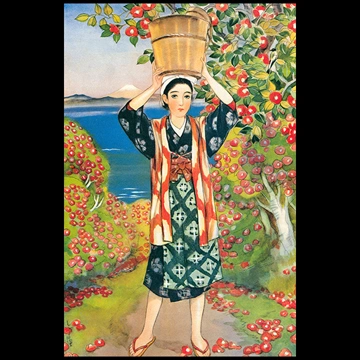 「椿咲く島 （少女倶楽部より）」 須藤しげる （1935年）
