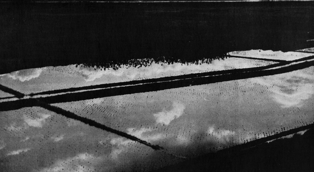 「初冬の田園」 井上喜弘 (1949年) | アルス写真年鑑 1950より