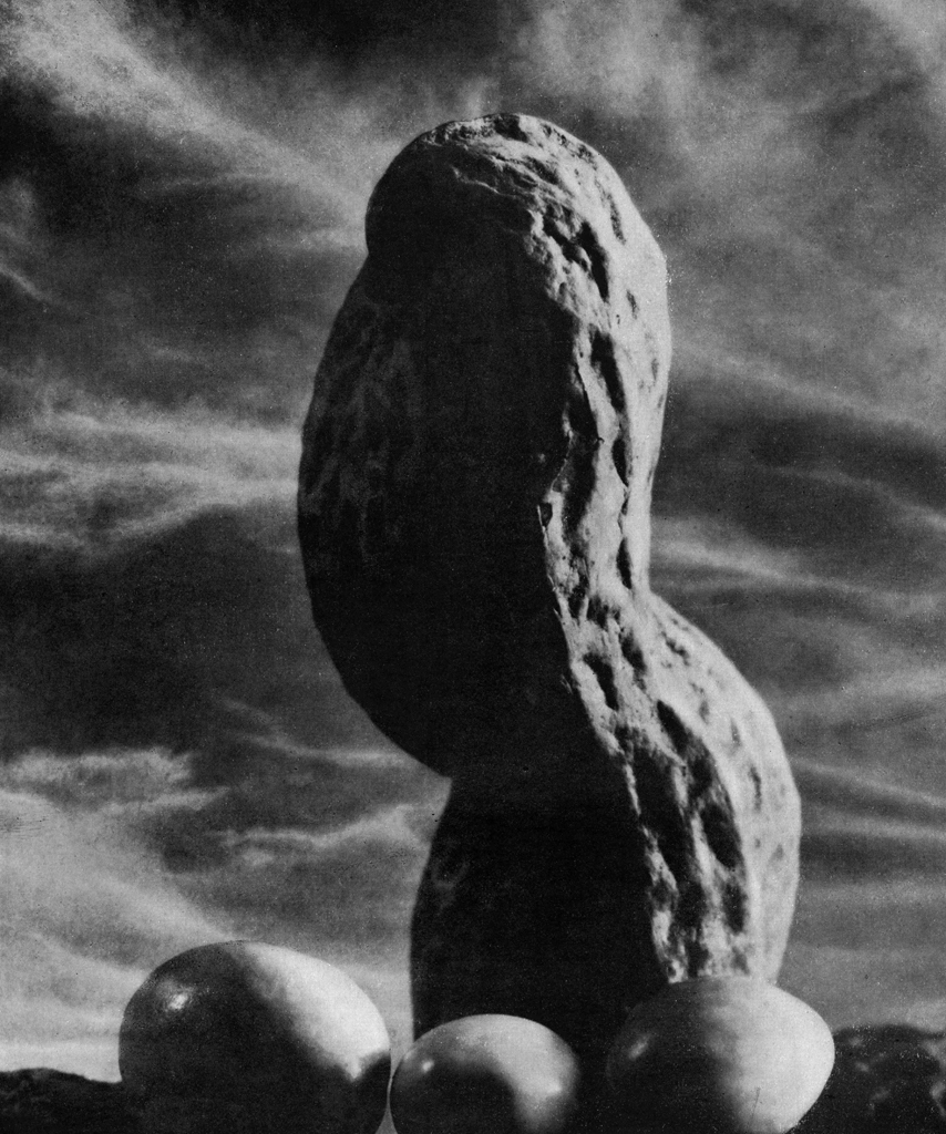 「大いなるオブゼ」 植木昇 (1949年) | アルス写真年鑑 1950より