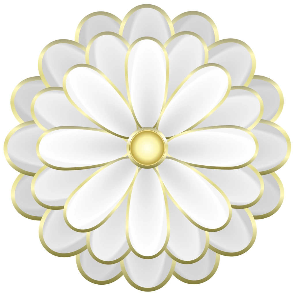 Set of 6 Chrysanthemum Flower Design Illustrations and Vectors | White