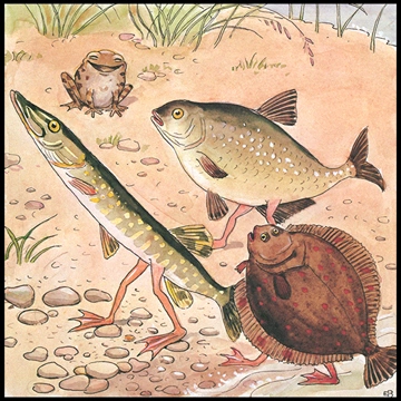 「しりたがりやのちいさな魚のお話 挿絵 #8」 エルサ・ベスコフ