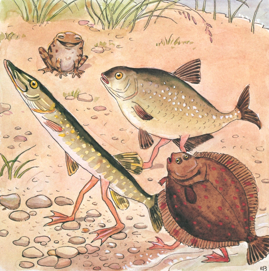 「しりたがりやのちいさな魚のお話 挿絵 #8」 エルサ・ベスコフ | 岸に上がる魚たち