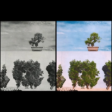Previous Artworks