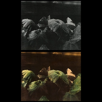 Next Artworks
