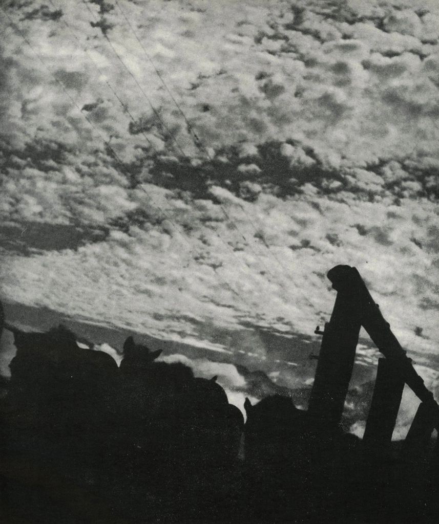 「秋」 淵上白陽 (1949年) | アルス写真年鑑 1950より