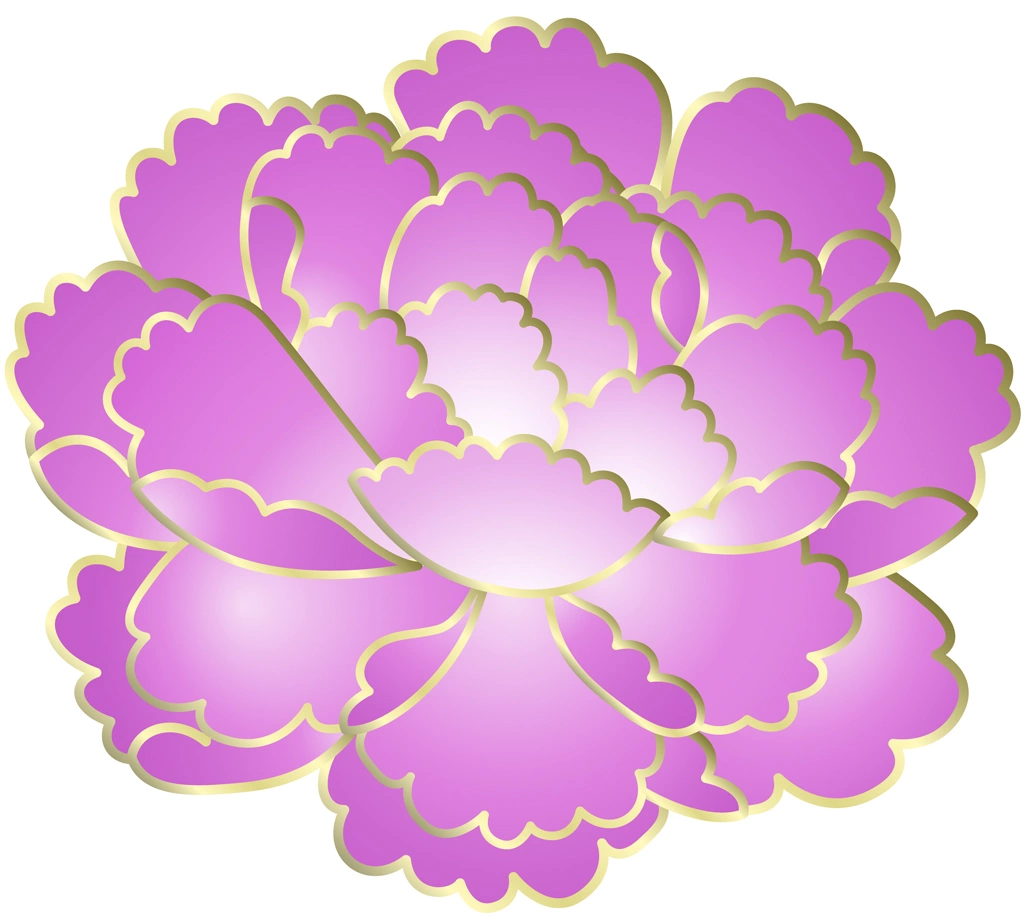 Set of 6 Peony Flower Illustrations and Vectors | Pink
