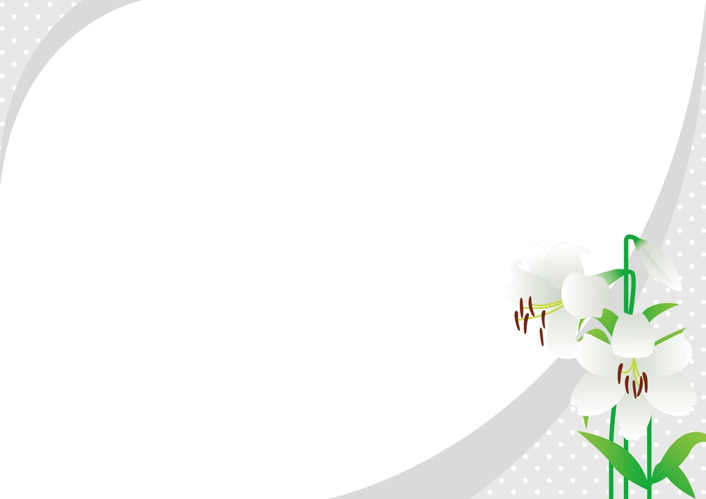 Set of Lilies with Dotted Frame Background Illustrations and Vectors | White and Gray