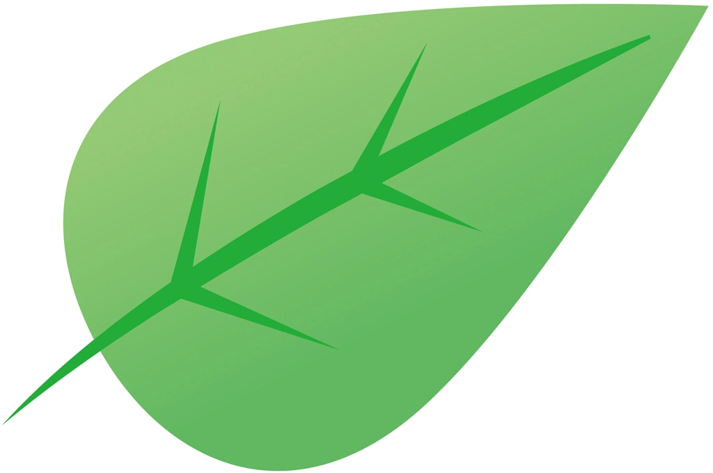 Set of 4 Leaf Icon Illustrations and Vectors | Leaf