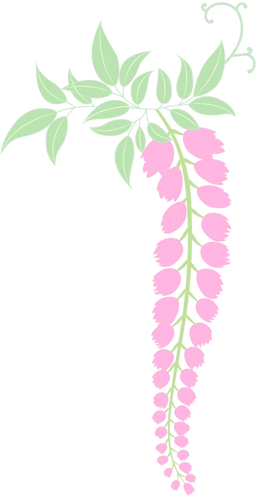 5種類の藤の花と葉のイラストとベクター | ピンク色
