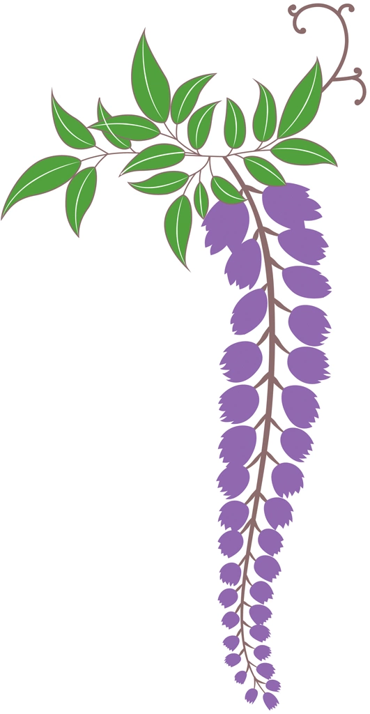 5種類の藤の花と葉のイラストとベクター | 紫色