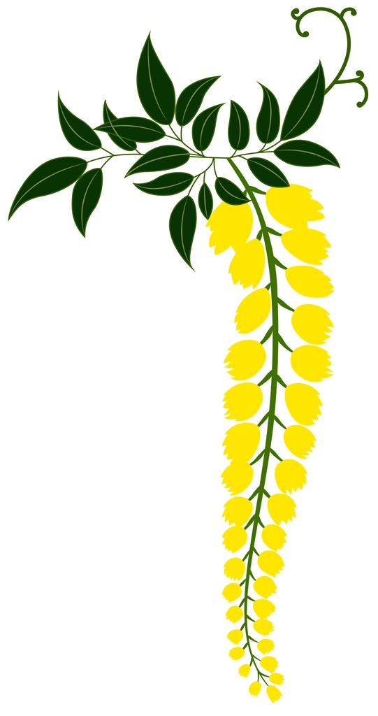 5種類の藤の花と葉のイラストとベクター | 黄色