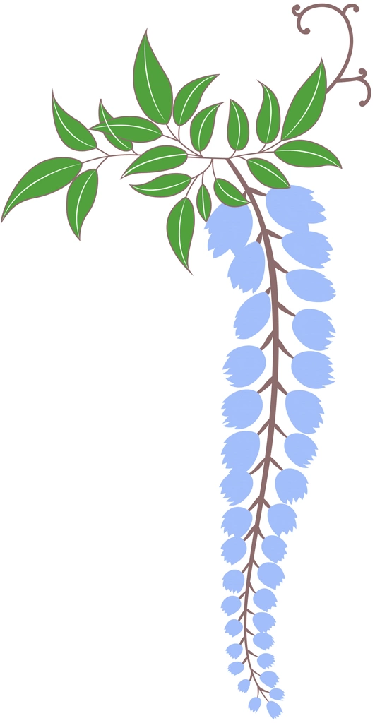 5種類の藤の花と葉のイラストとベクター | 青色