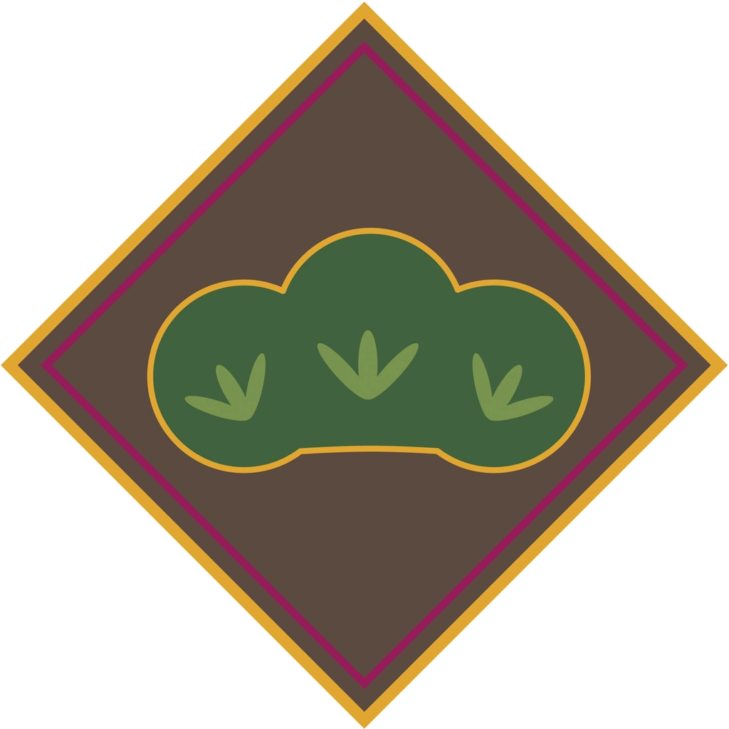 Set of 3 Pine Icon Illustrations and Vectors | Pine Leaves and Diagonal Square Icon