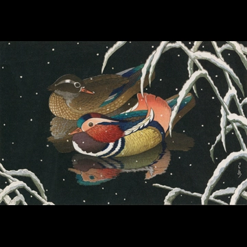 「鴛鴦」 川瀬巴水 （1950年）