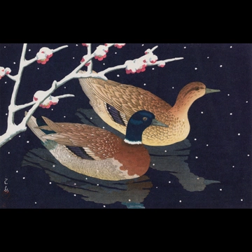 「真鴨」 川瀬巴水 （1950年）