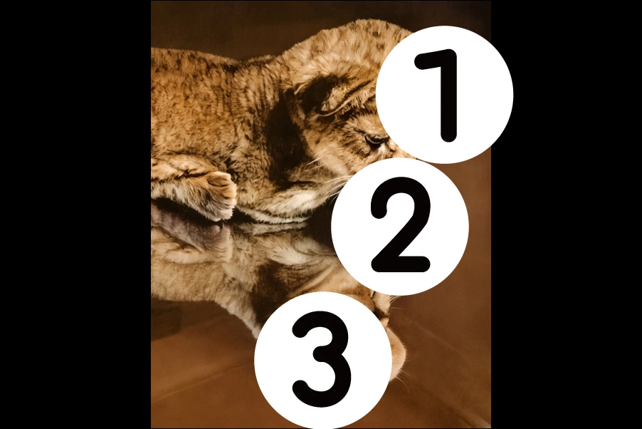 number
