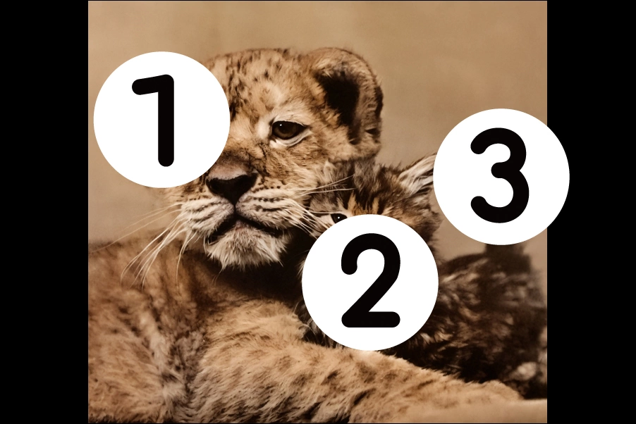 number
