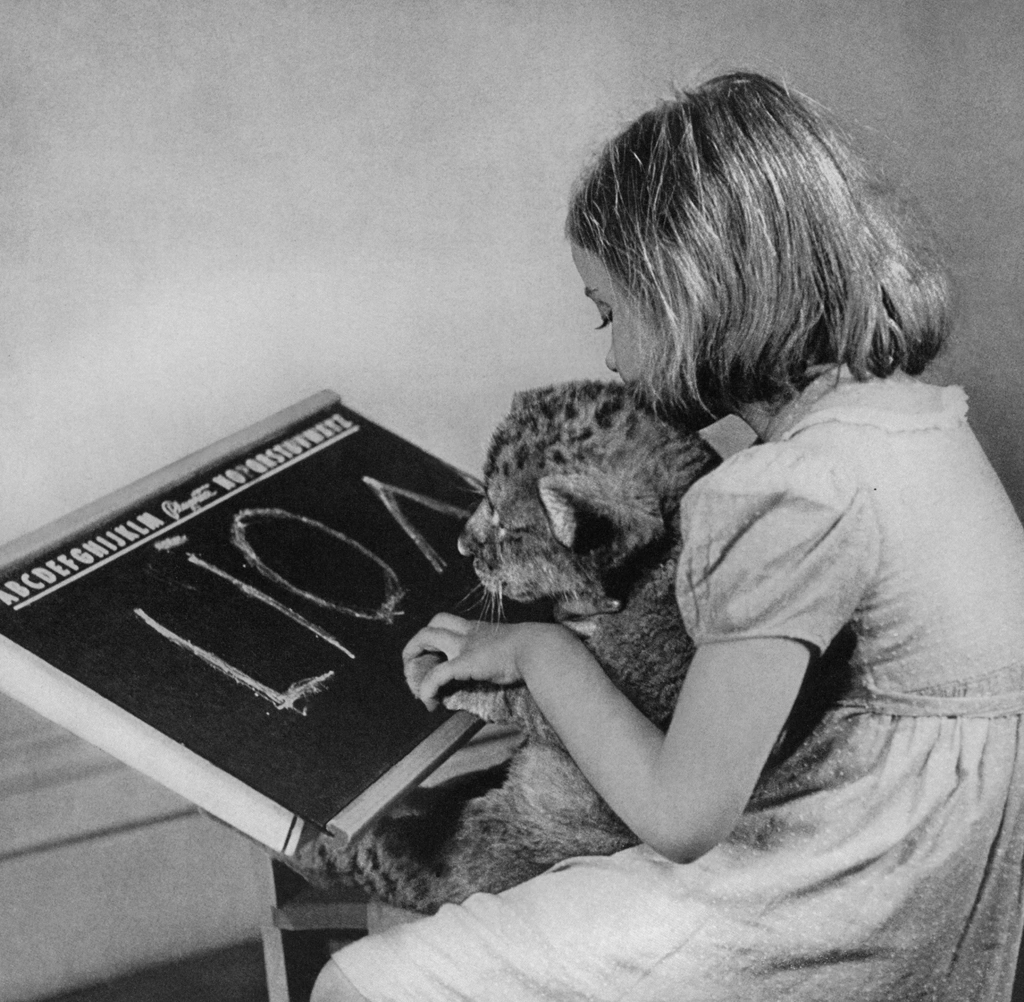 Untitled (A Girl Teaching a Lion Cub to Read) by Ylla | from The Sleepy Little Lion