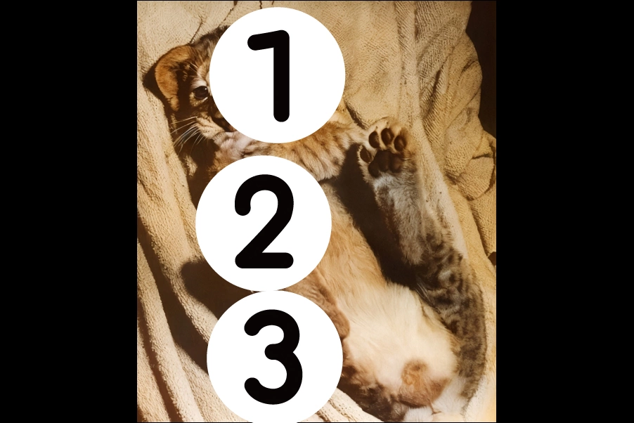 number