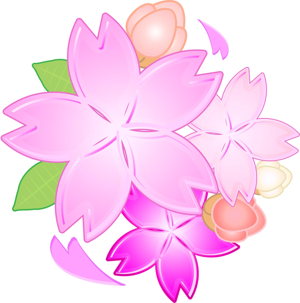 6種類の桜の花と蕾のイラストとベクター | 3個の桜の花と3個の蕾