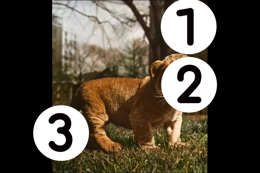number