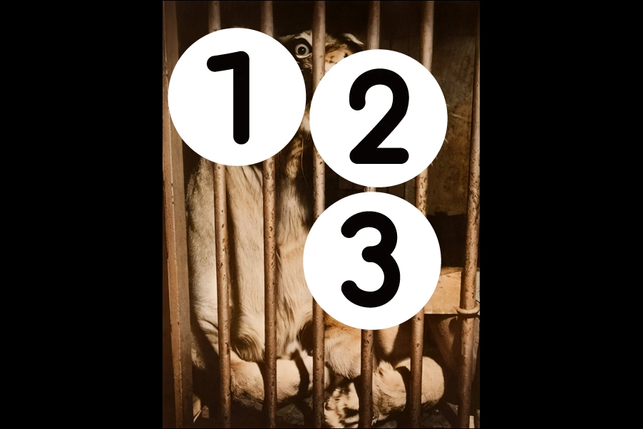 number