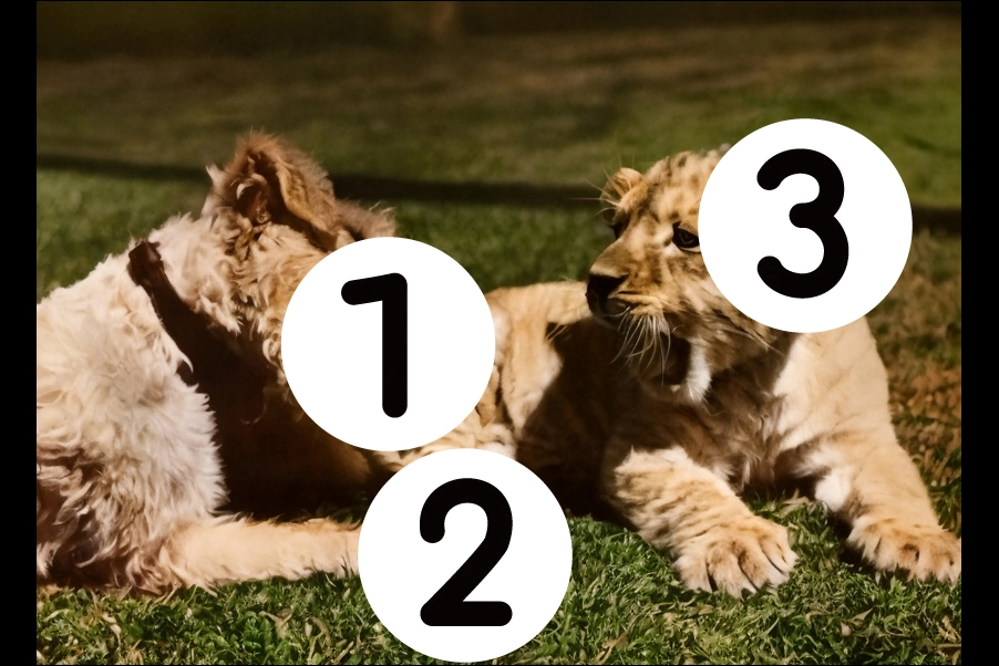 number