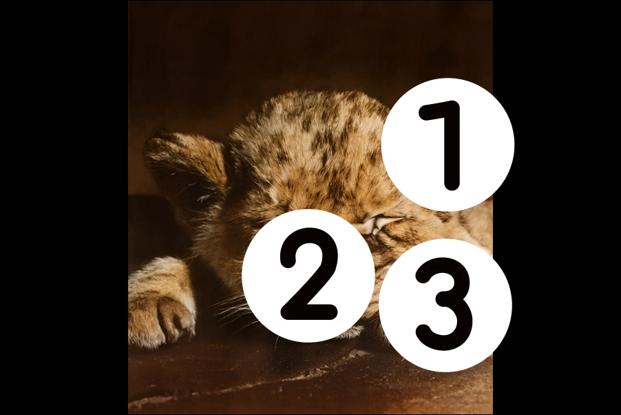 number