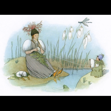 Cornflower and Bellflower from “Flower Fairy Tales” by Ernst Kreidolf