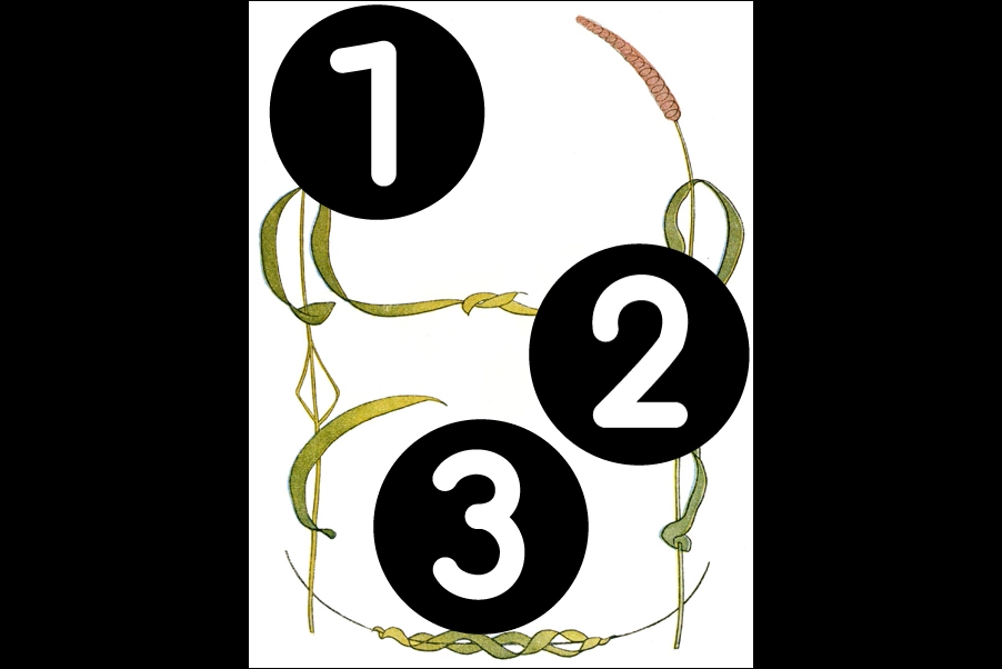 number