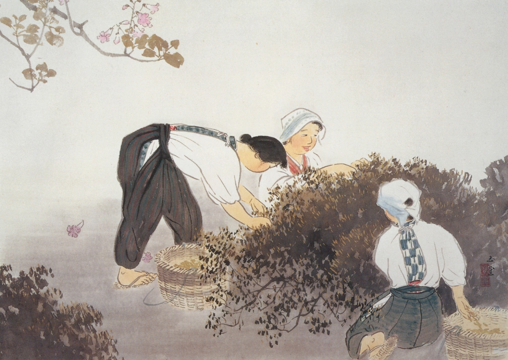 「茶摘」 川合玉堂 （1951年） | 没後50年 川合玉堂展 時を超え よみがえる日本自然より